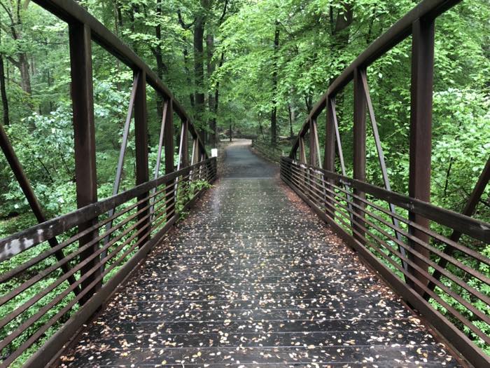 Looking along a rust-colored steel truss footbridge with a wet timber deck scattered with pale fallen leaves, the paved trail continuing into dense green woods beyond.