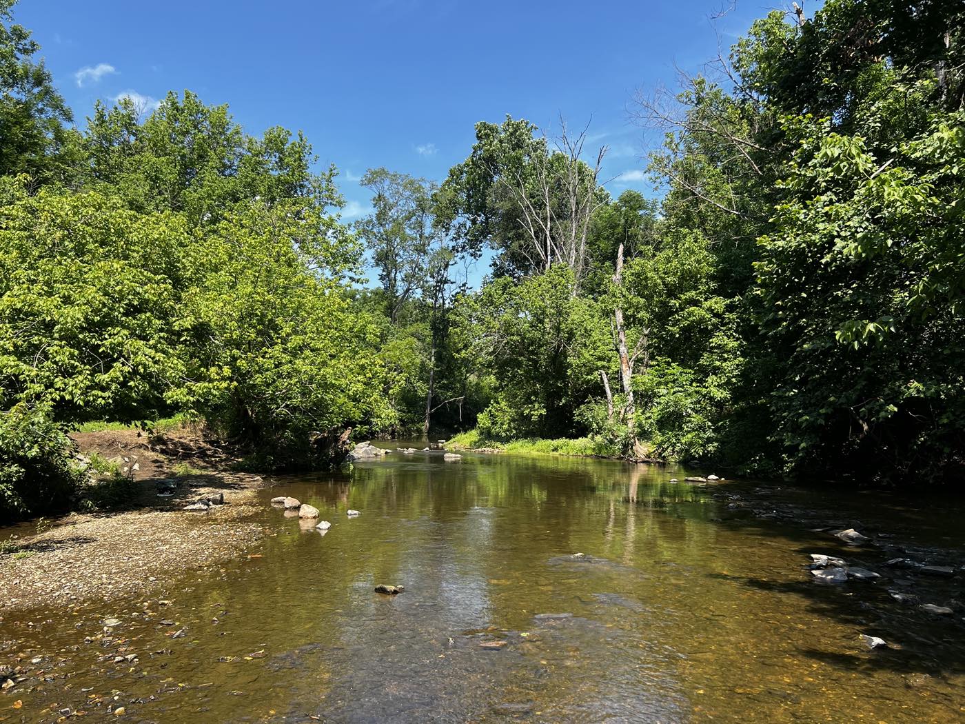 A shallow, clear creek running over pale gravel between wooded banks under a blue sky, with a gravel bar in the foreground and stepping stones upstream.
