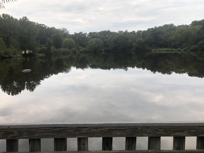 A pond in summer seen over a timber railing, willows along the far bank, flat water holding the cloud.