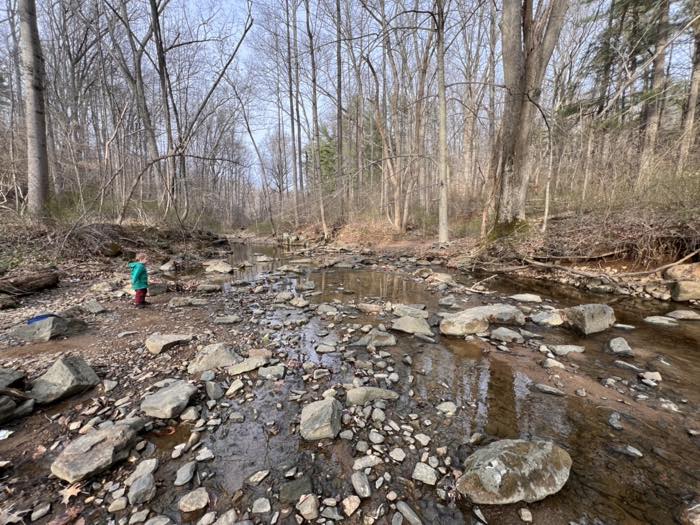 A wide, shallow rocky creek bed in bare winter woods, with a small child in a green coat standing on the stones at the edge.