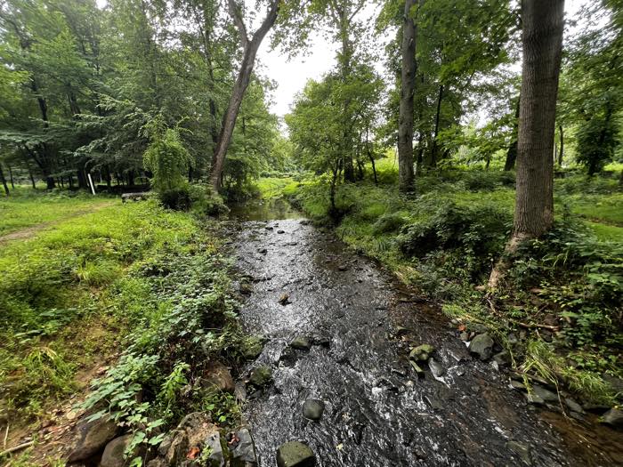 A shallow rocky stream running through wooded parkland after rain, a dirt footpath and mown clearing along the left bank, leafy trees crowding both sides.