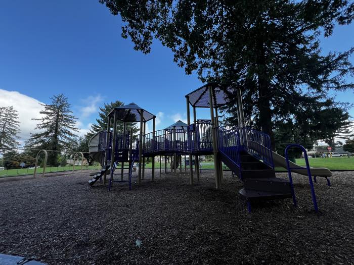 A large blue-and-tan metal play structure with two roofed towers, a curved bridge, slides and climbers, set on wood-chip mulch under a big shade tree, swings off to the left and open lawn beyond.