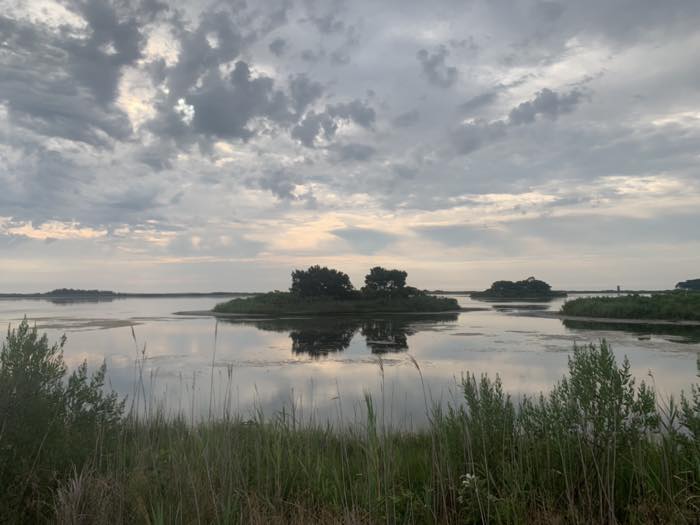Still bay water at dusk under a heavy gray and cream cloudscape, with low marsh islands topped by pines in the middle distance and marsh grass in the foreground.