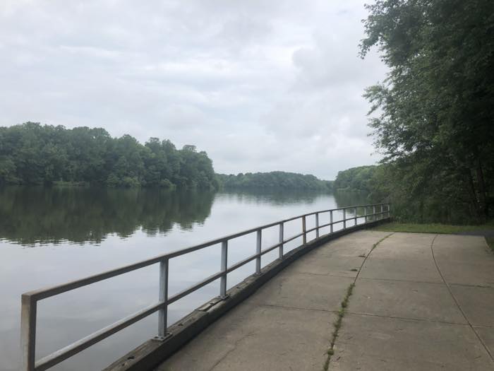 A concrete boat ramp with a galvanised handrail running down into still water, with a wooded far bank beyond.