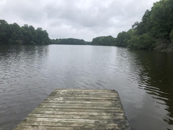 The end of a weathered wooden dock, looking straight down a wide wooded pond under a gray overcast sky.