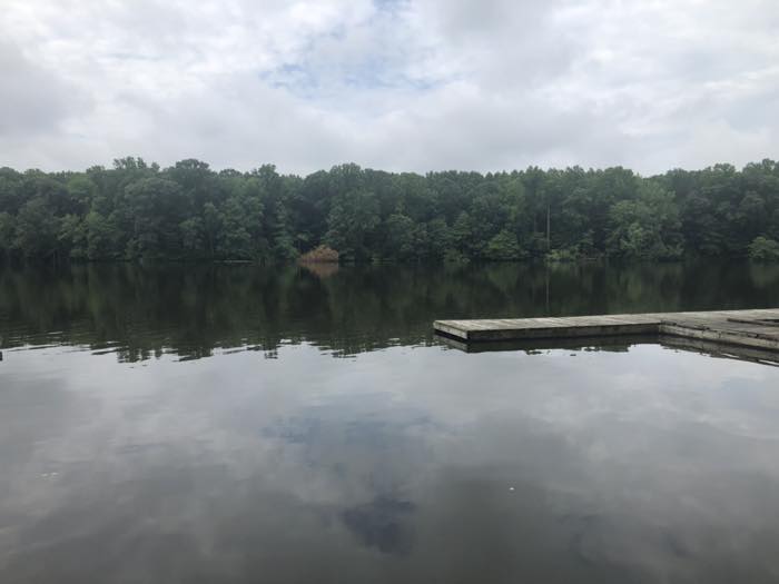 Floating dock sections meeting at a right angle on flat water that mirrors the clouds, backed by a solid wall of green trees.