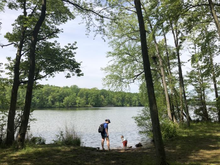 An adult and a small child standing at a bare earth shoreline at the edge of a wide pond, framed by tall trees in new spring leaf, with wooded far bank beyond.