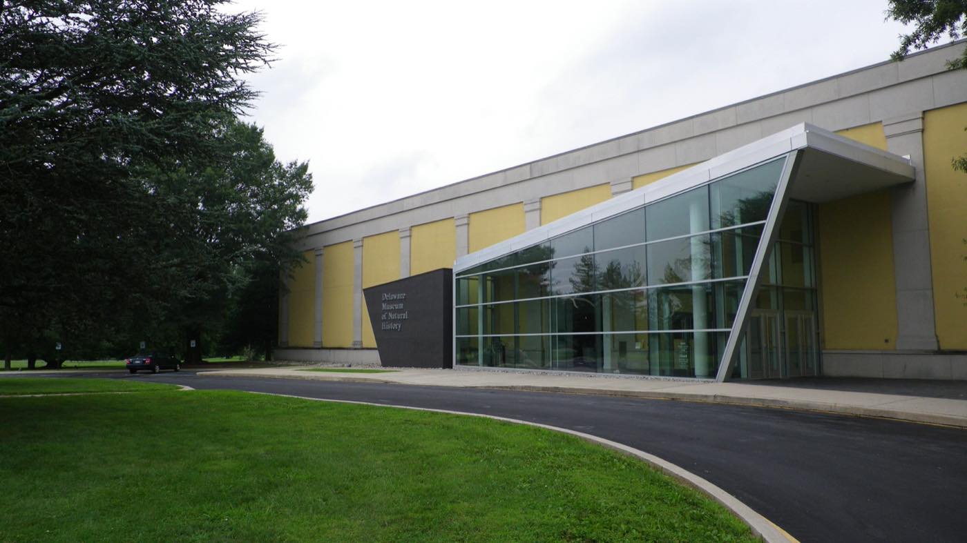 A long low museum building with yellow panels and a sharply angled glass entrance canopy, lawn and driveway in front.
