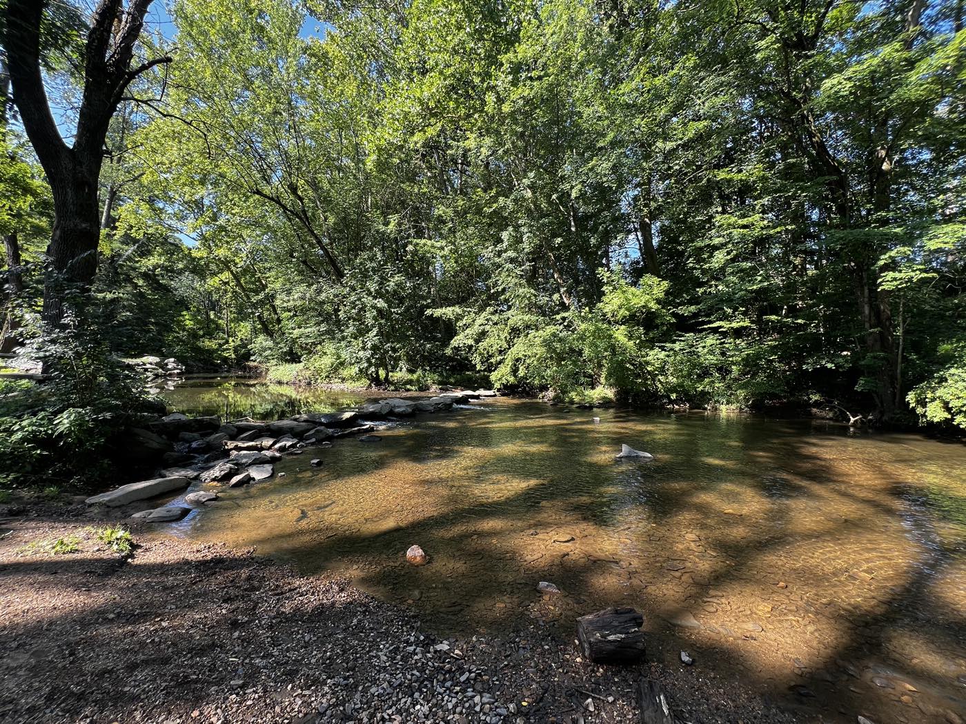 A wide, shallow, clear stream running through heavy summer tree cover, with a line of flat stones forming a crossing from the near bank.