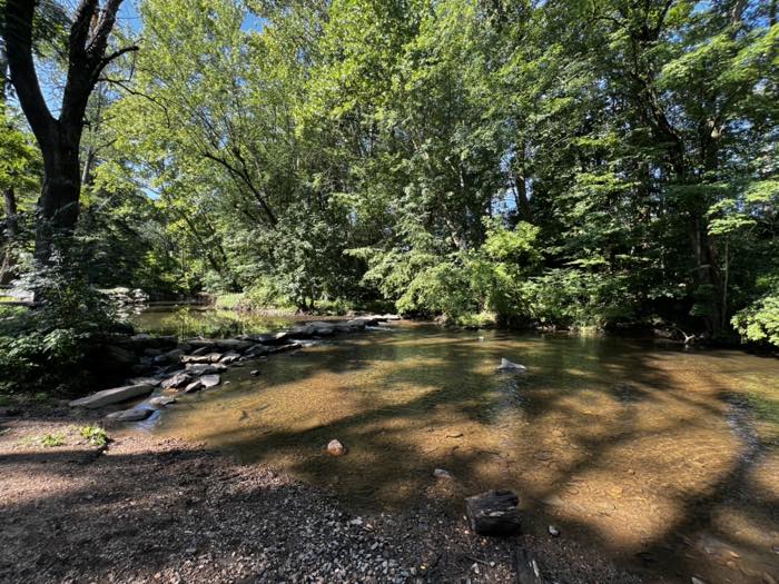 A wide, shallow, clear stream running through heavy summer tree cover, with a line of flat stones forming a crossing from the near bank.