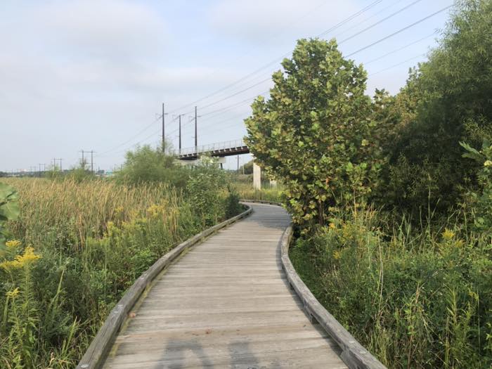 A weathered timber boardwalk curving through tall marsh grass and goldenrod, with a rail-line viaduct and power pylons on the skyline beyond.