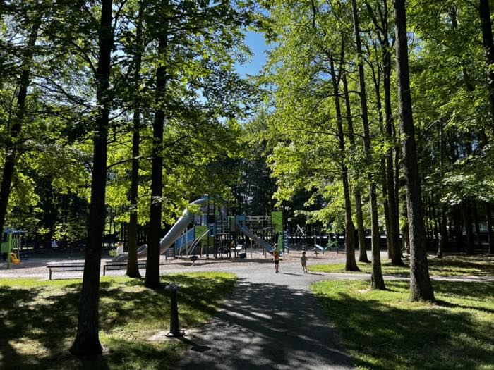 A large blue and green play structure with tube slides and climbing nets, in a clearing surrounded by tall mature trees, with a paved path and benches in front.